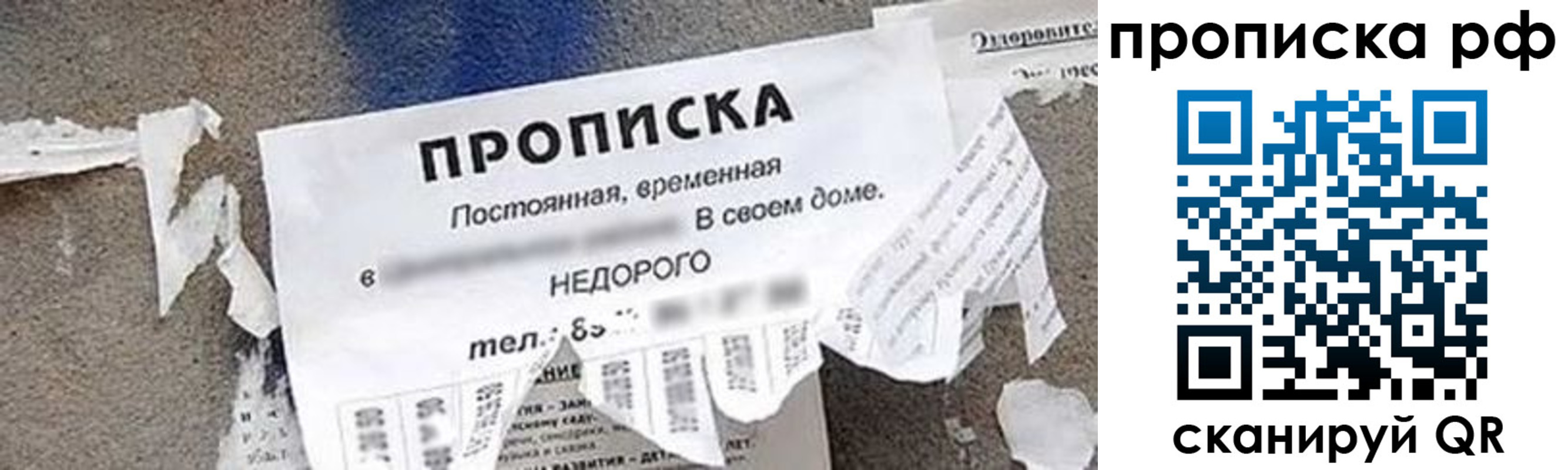 где прописаться в Железногорск-Илимском